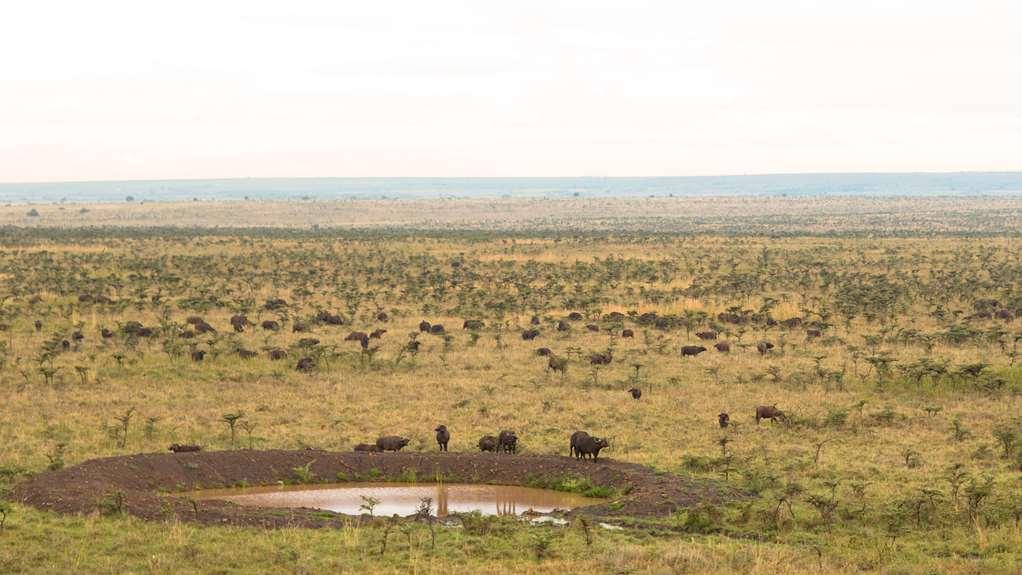 Ole Sereni Nairobi Kültér fotó